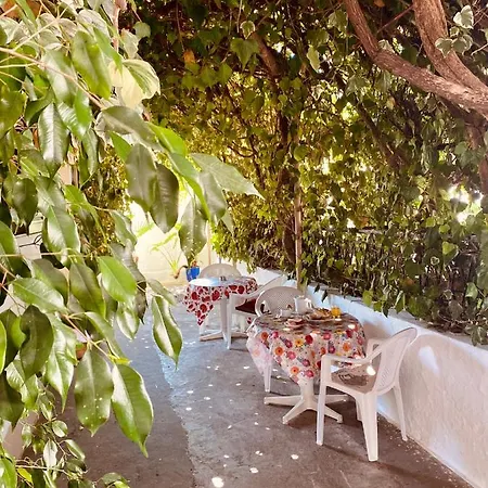 阿芙罗狄蒂膳食公寓 招待所